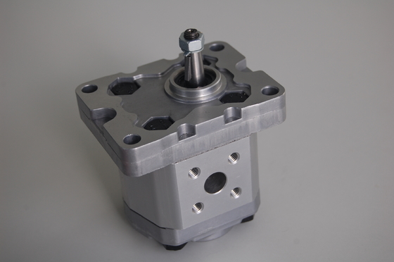 Pequeñas bombas de engranaje hidráulicas de Marzocchi/de Rexroth BHP2B0-D-18